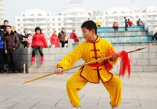少年武術(shù) 鑄中華魂魄，塑時代脊梁